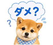 861050122