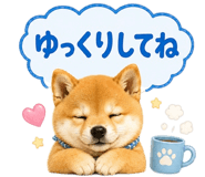 861050127