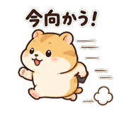 861050533