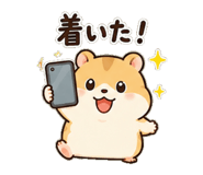 861050534