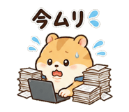 861050536