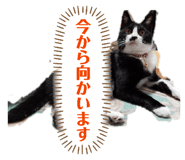 861050777