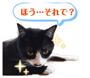 861050778