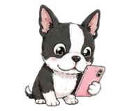 861052541