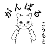 861052705
