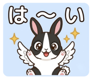 861055902