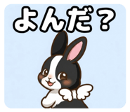 861055911