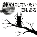 861057491