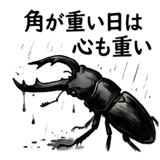 861057492