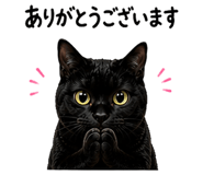 861058782
