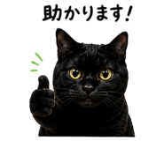 861058784