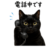 861058803