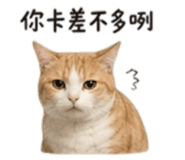 861062089