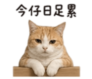861062090