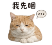 861062091
