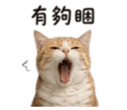 861062099