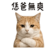 861062107
