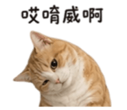 861062110