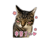 861062850