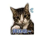 861062851