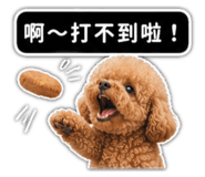 861065284