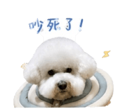 861066395