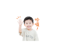 861068781
