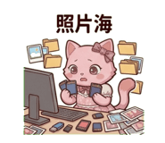 861069062