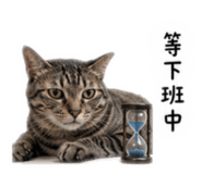 861069106