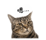 861069123