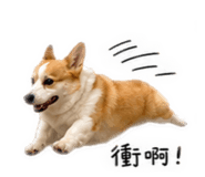 861071893