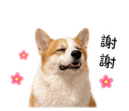 861071895