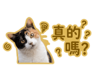 861076048