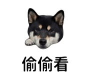 861077069