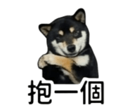 861077085