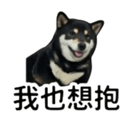 861077086