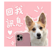 861077610