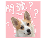 861077611