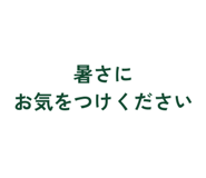 861089054