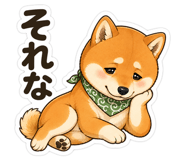 861091198