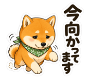 861091202