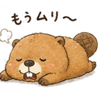 861093640