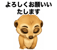 861094234