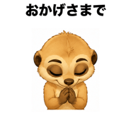 861094246