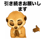 861094255