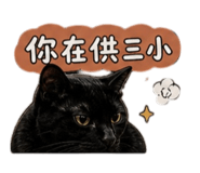 861102308