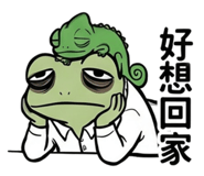 861103977