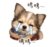 861106858