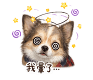 861106868