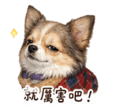 861106869